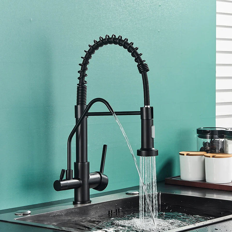 Afralia™ Black Dual Handle Kitchen Faucet with Water Purification Feature, 360° Rotation