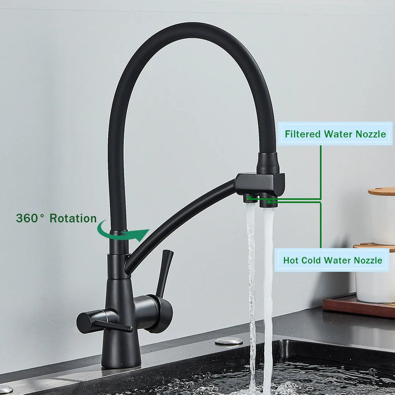 Afralia™ Black 2-in-1 Pull Down Kitchen Faucet with Filtered Water