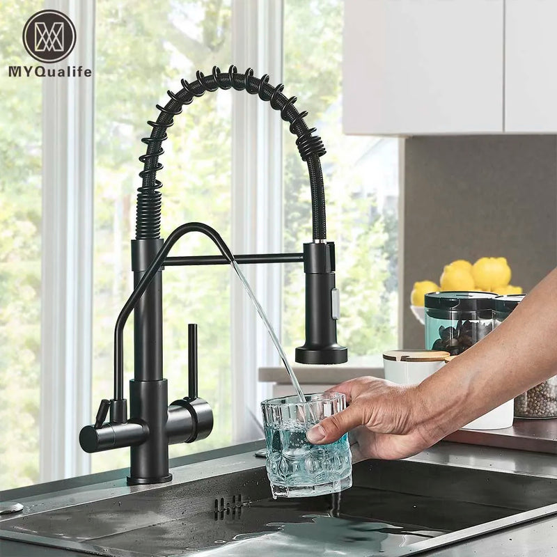 Afralia™ Matte Black Dual Handle Pure Water Filter Kitchen Faucet - Pull Out Design