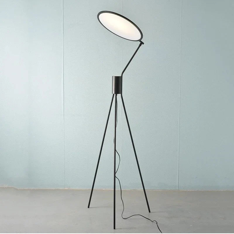 Afralia™ Postmodern Living Room Floor Lamp - Designer LED Standing Light