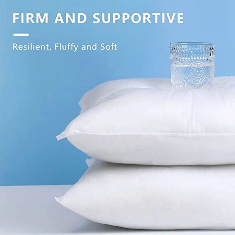 Afralia™ Soft Pillow Insert Core for Sofa Car, Various Sizes 30x50cm - 60x60cm