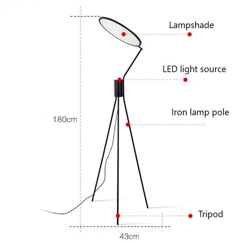 Afralia™ Postmodern Living Room Floor Lamp - Designer LED Standing Light