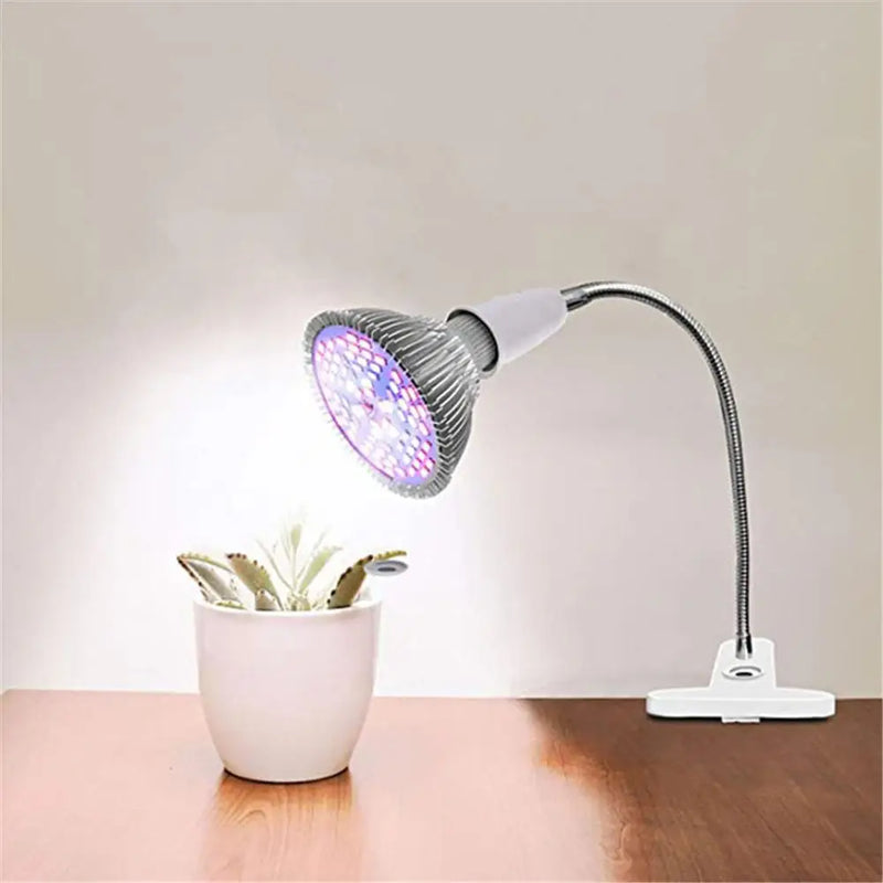 Afralia™ Flexible Desk Lamp Holder with On/Off Switch for Home Plant