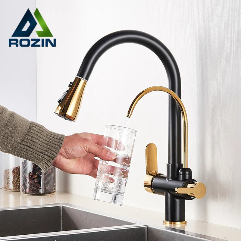 Afralia™ 3-Way Water Filter Kitchen Faucet: Black & Golden Crane Pull Out Sprayer