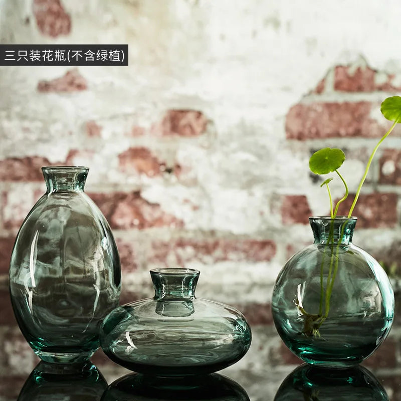 Afralia™ Mini Vase Set: Premium Glass Creative Transparent Decor Bottles for Home and Living Room