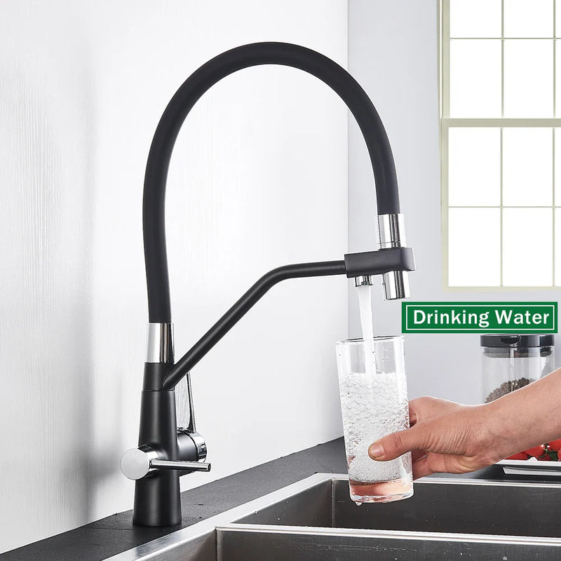 Afralia™ Black 2-in-1 Pull Down Kitchen Faucet with Filtered Water