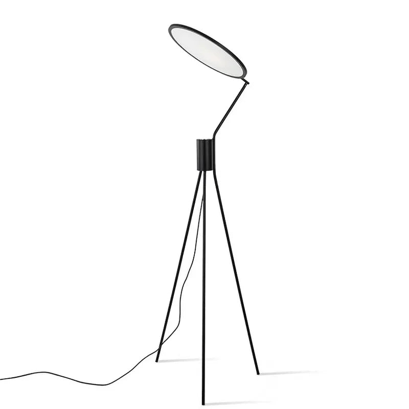 Afralia™ Postmodern Living Room Floor Lamp - Designer LED Standing Light