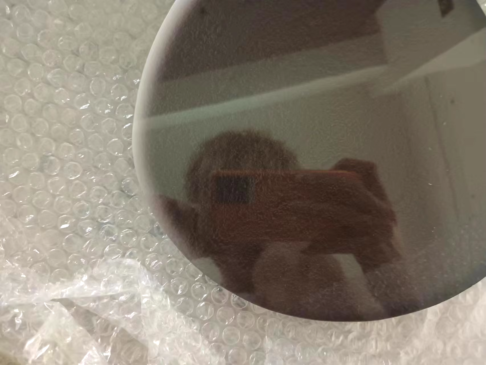 Afralia™ Green Plant Mural Wall Lamp for Modern Living Room Decor