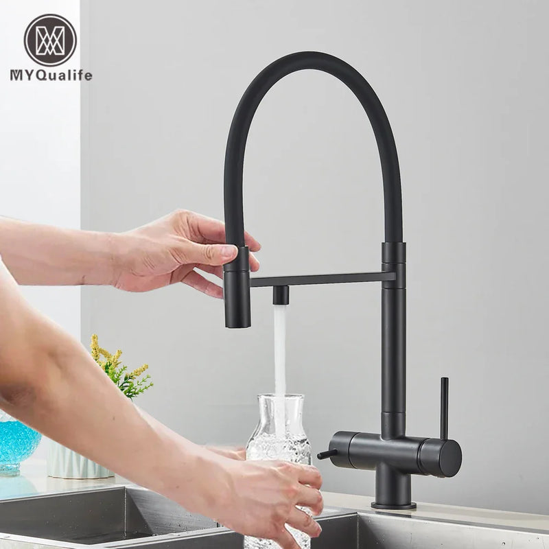 Afralia™ Black Filtered Kitchen Faucet Brass Dual Handle Pure Water Mixer Taps