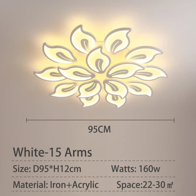 45111039033597