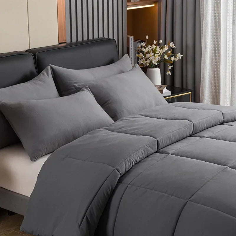 Afralia™ Queen Size Four Seasons Duvet Core: Soft, Breathable, Durable Quilted Blanket