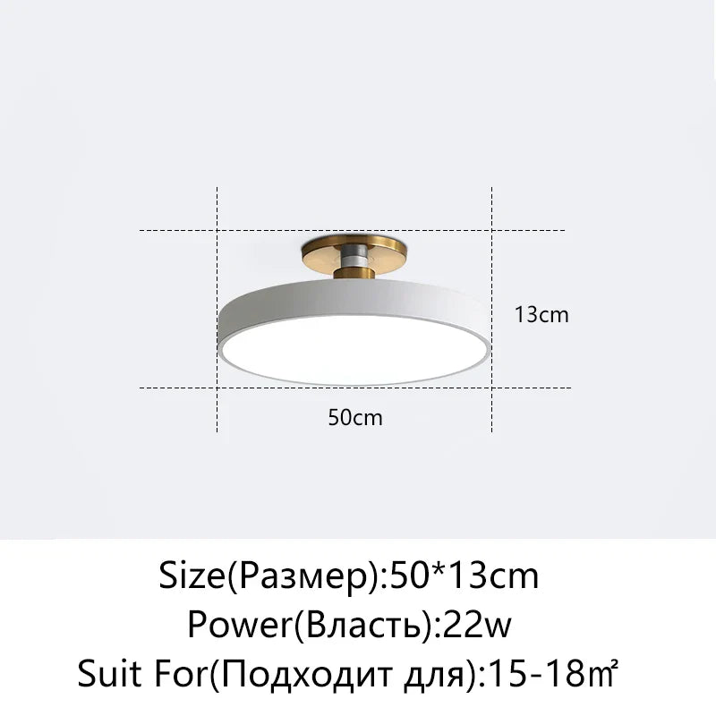 Afralia™ LED Ceiling Lamp for Living Room Study Child Bedroom Indoor Lighting