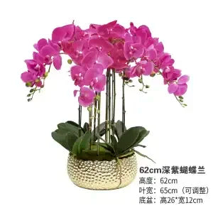 Afralia™ Phalaenopsis Flower in Pot: High-End Hand Moisture Simulation & Art Decoration