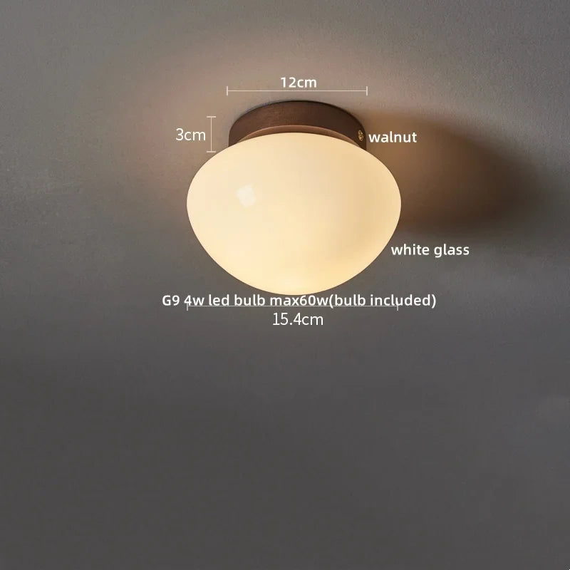 Afralia™ Modern LED Ceiling Light Iron Glass Nordic Ceiling Lamp