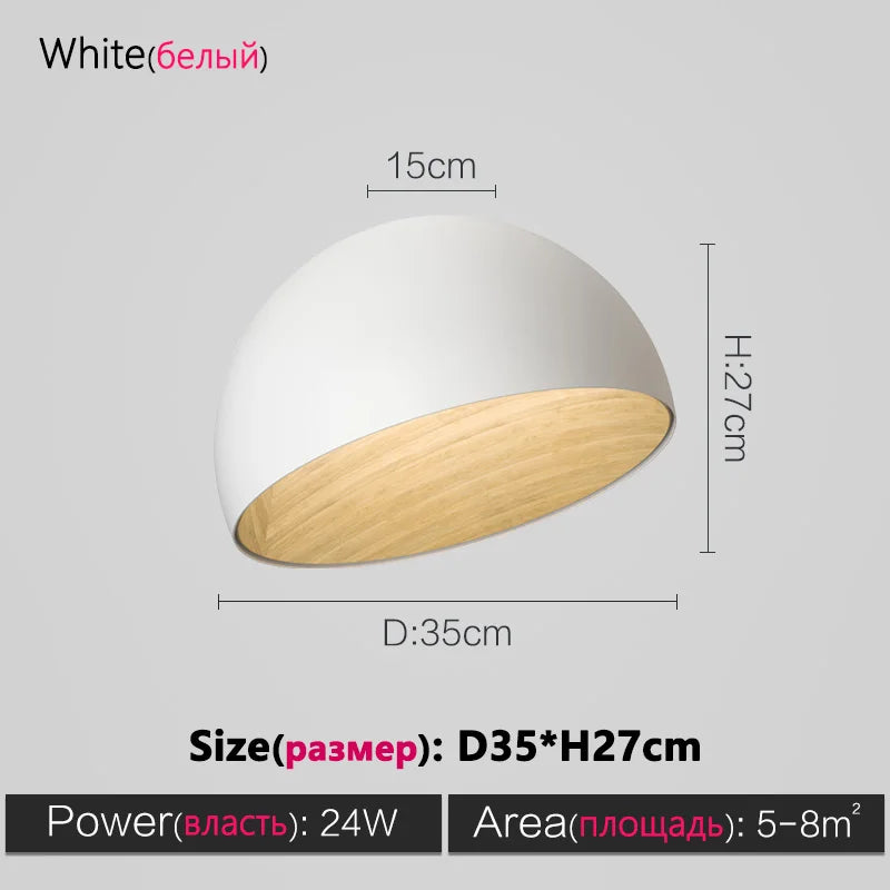 45329551655165|45329551720701|45329551786237