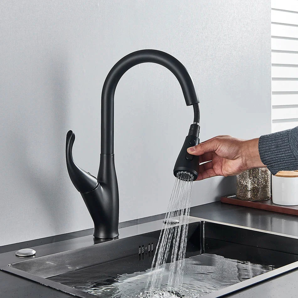 Afralia™ Kitchen Faucet: Chrome/Black Pull Out Mixer with 2 Function Spout