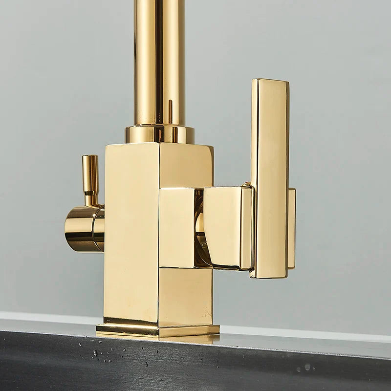 Afralia™ Dual Outlet Gold Kitchen Faucet for Purified Water Hot & Cold Basin Sink