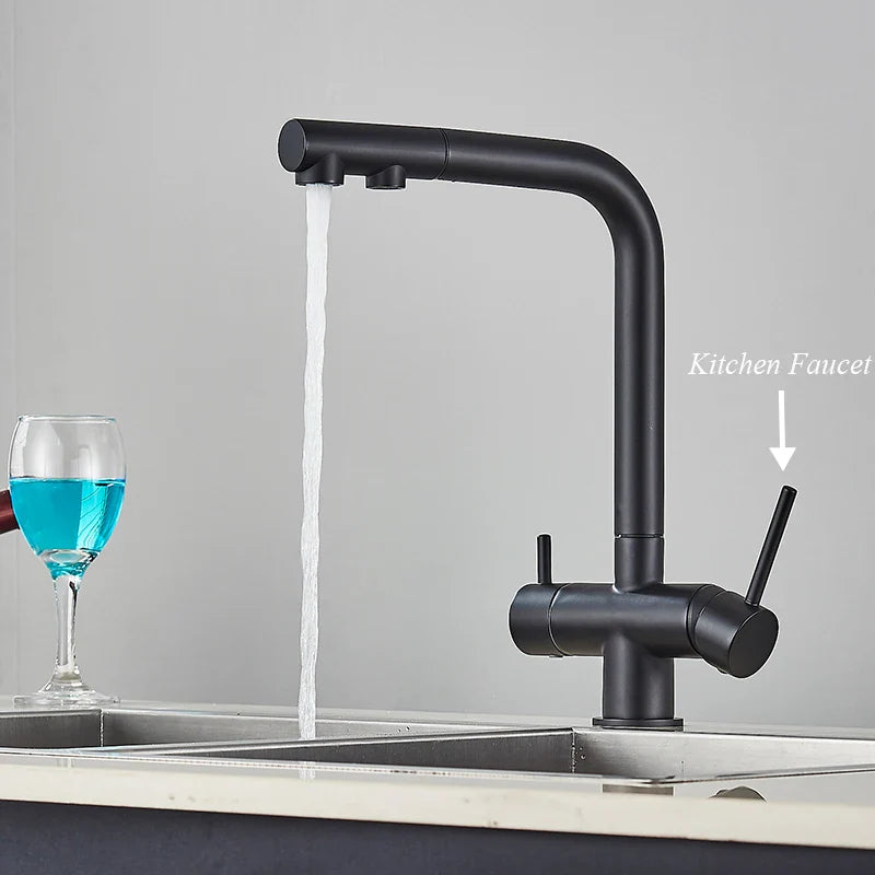 Afralia™ Kitchen Faucet with Water Filter Tap and Dual Sprayer