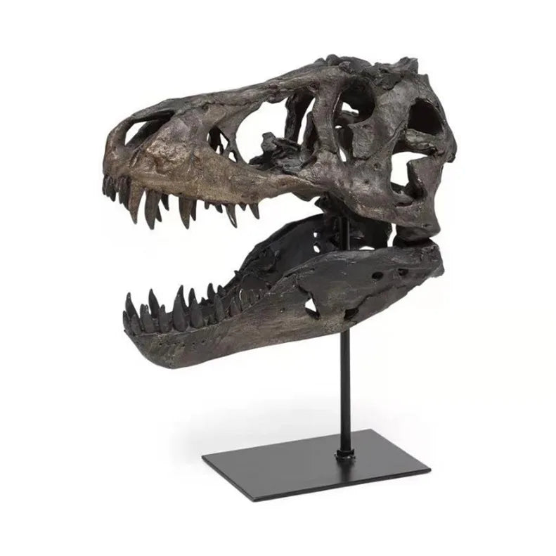 Afralia™ T rex Skull Model Dinosaur Ornament Figurine for Home & Office Decor
