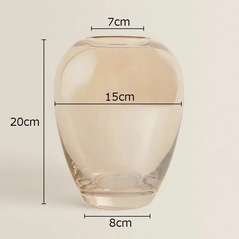 Afralia™ Amber Glass Vase Transparent Hydroponics Flower Pot Modern Home Decor