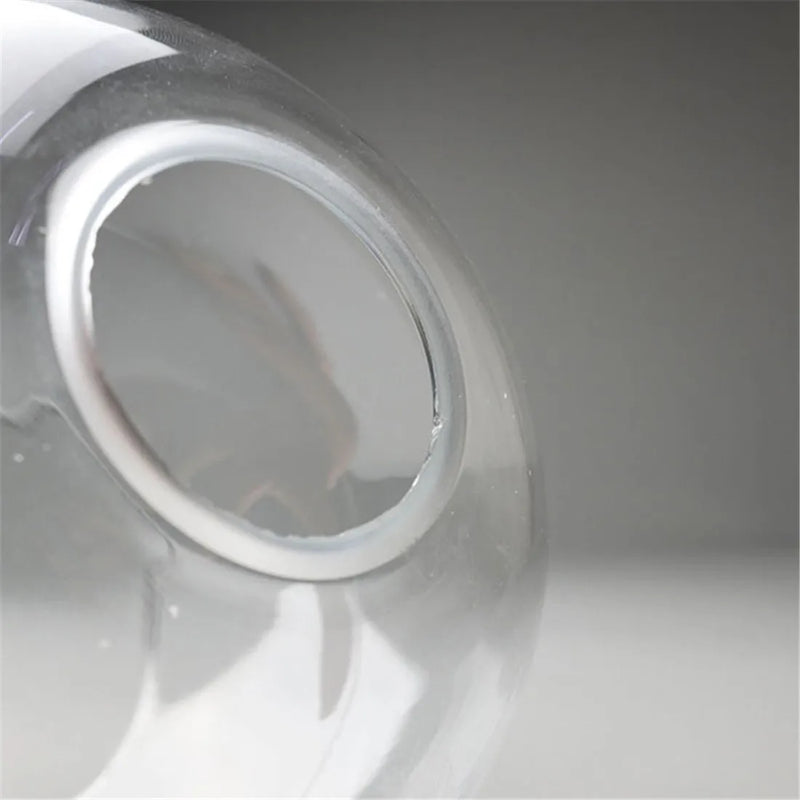 Afralia™ Hand Blown Clear Glass Globe Lamp Shade with 2 Ends Opening, D18cm Glass Cover Ball Lampshade