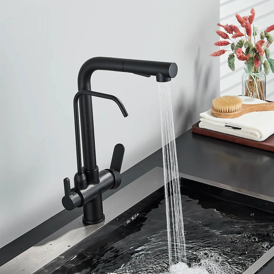 Afralia™ Dual Handle Waterfilter Kitchen Faucet for Rotation Water Purification.