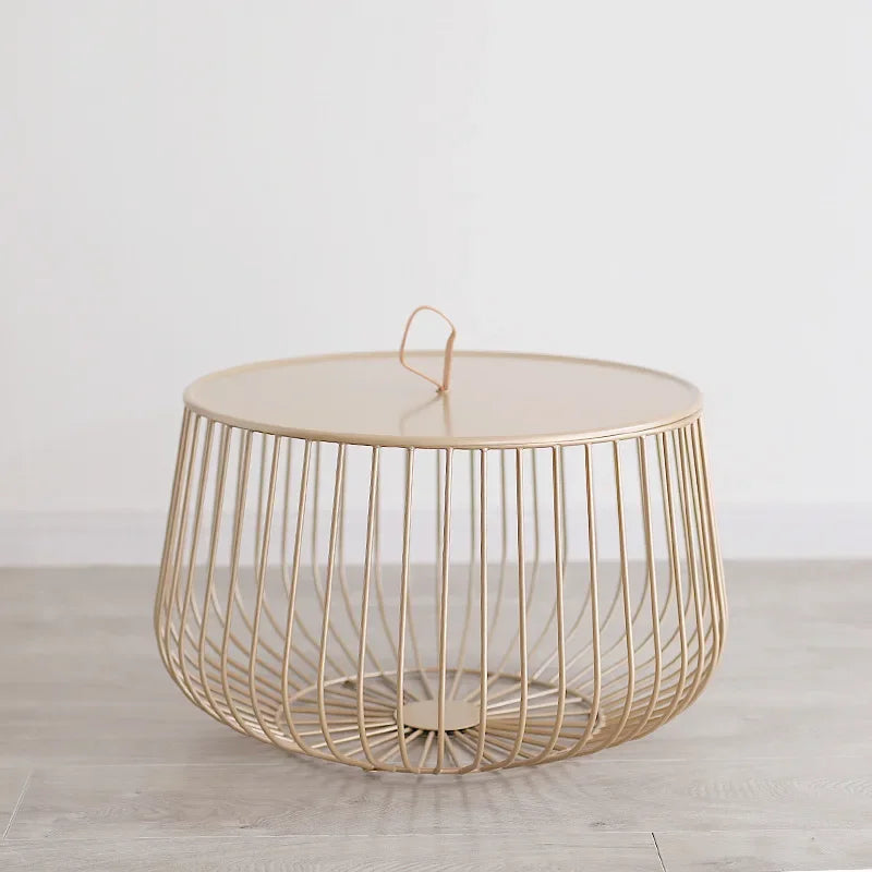 Afralia™ Nordic Iron Art Pumpkin Coffee Table for Modern Living Room - Golden Ins Round