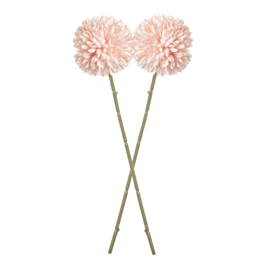 49435163296049|49435163328817