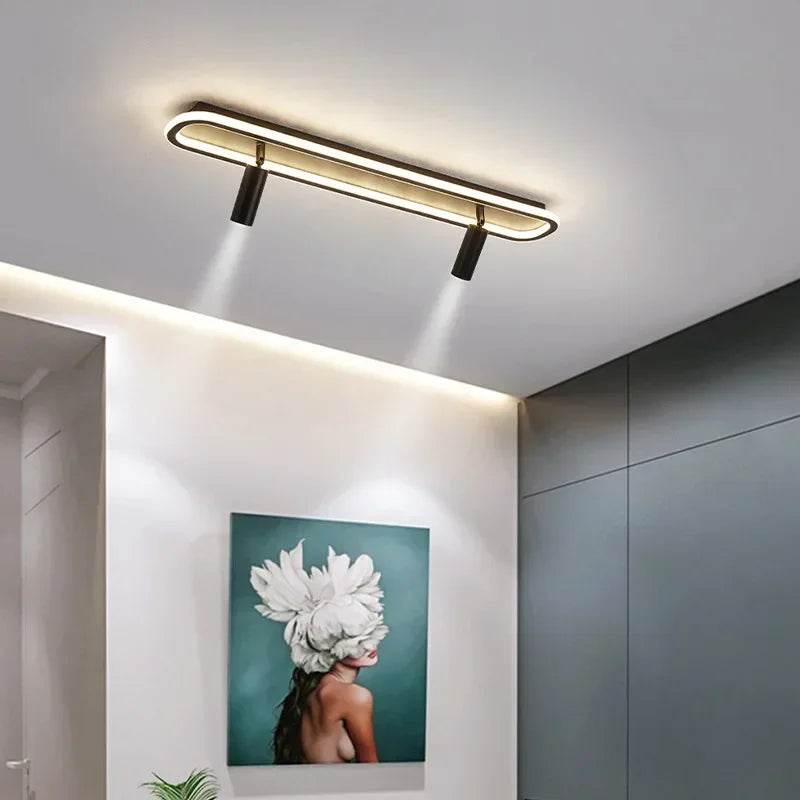 Afralia™ Modern LED Ceiling Lamp for Home Decor Indoor Light Fixture