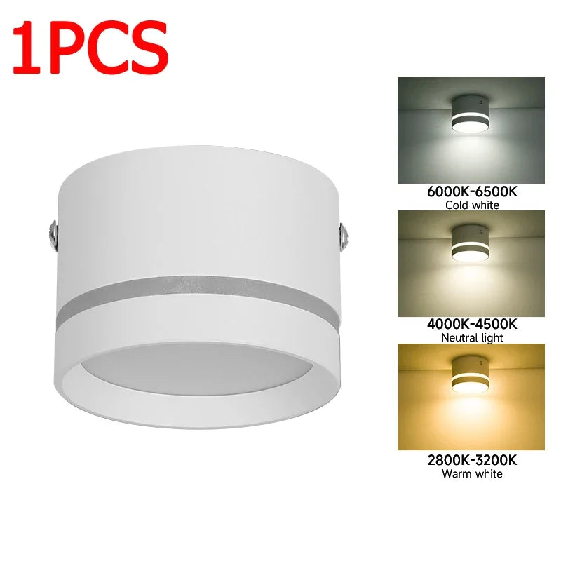 Afralia™ LED Ceiling Downlight for Home Living Room Bedroom Interior Decoration