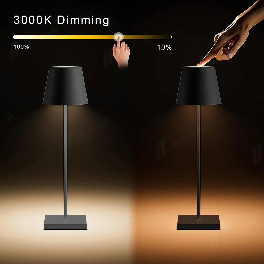 Afralia™ Poldina Cordless Table Lamp - USB Rechargeable, Acrylic Decor, Bedroom & Bar