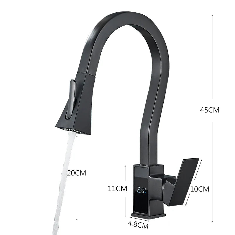 Afralia™ Matte Black Kitchen Faucet with Digital Temperature Display