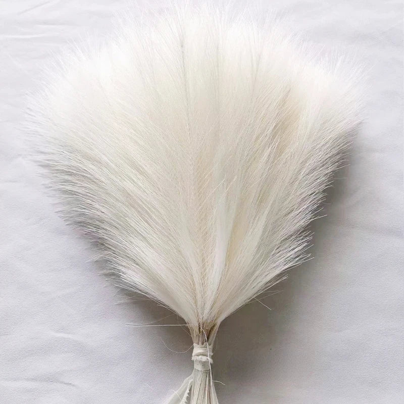 49433460310321|49433460343089