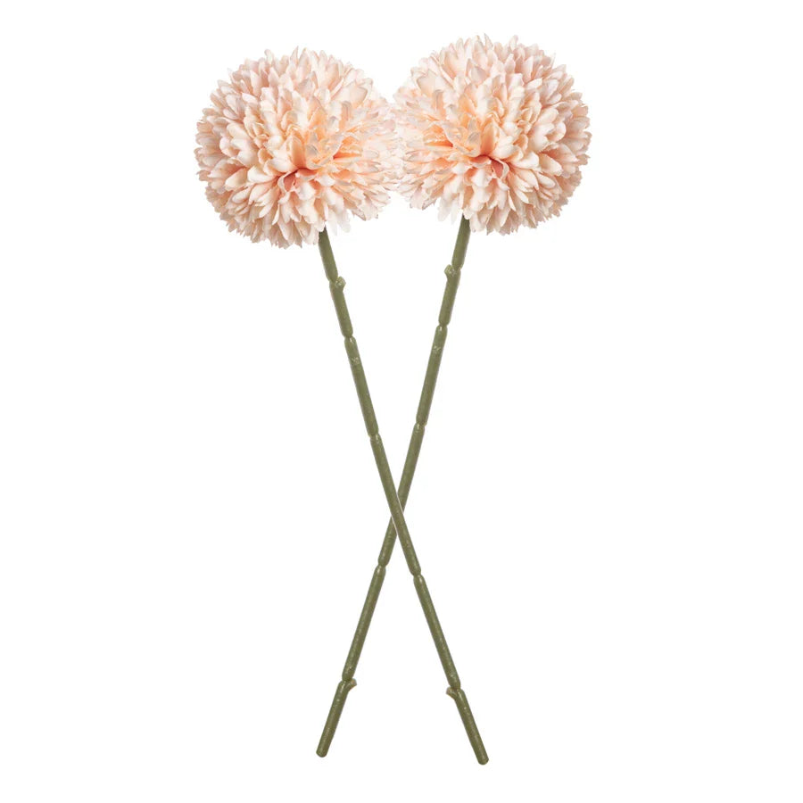 49435163361585|49435163394353