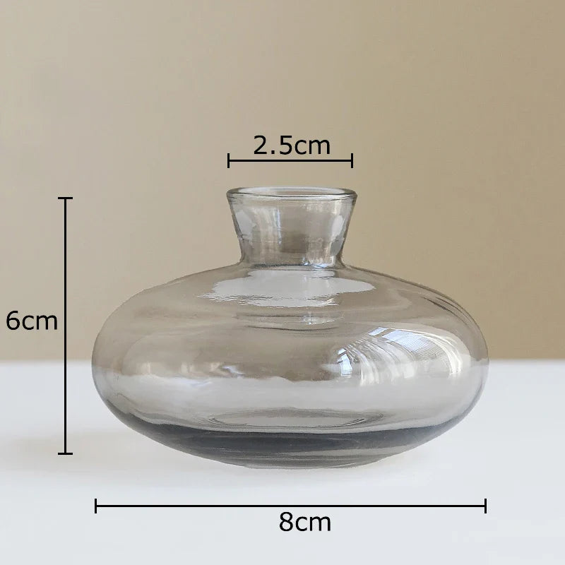 Afralia™ Small Glass Vase for Table Decoration Room Aesthetic, Multi Style Floral Pots