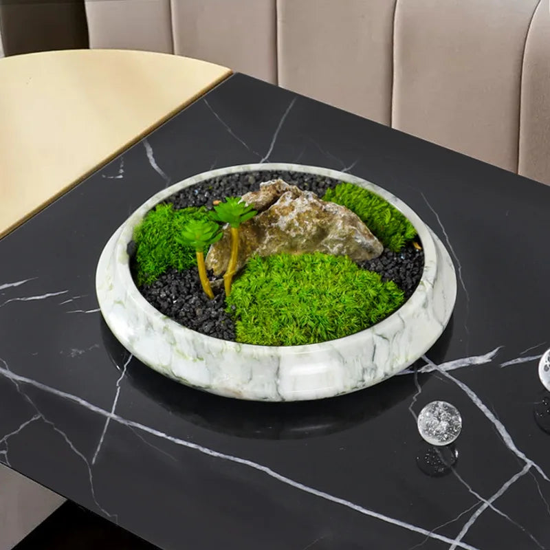 Afralia™ Marble Serving Tray & Decorative Flower Pot for Coffee Table & Green Moss Plant