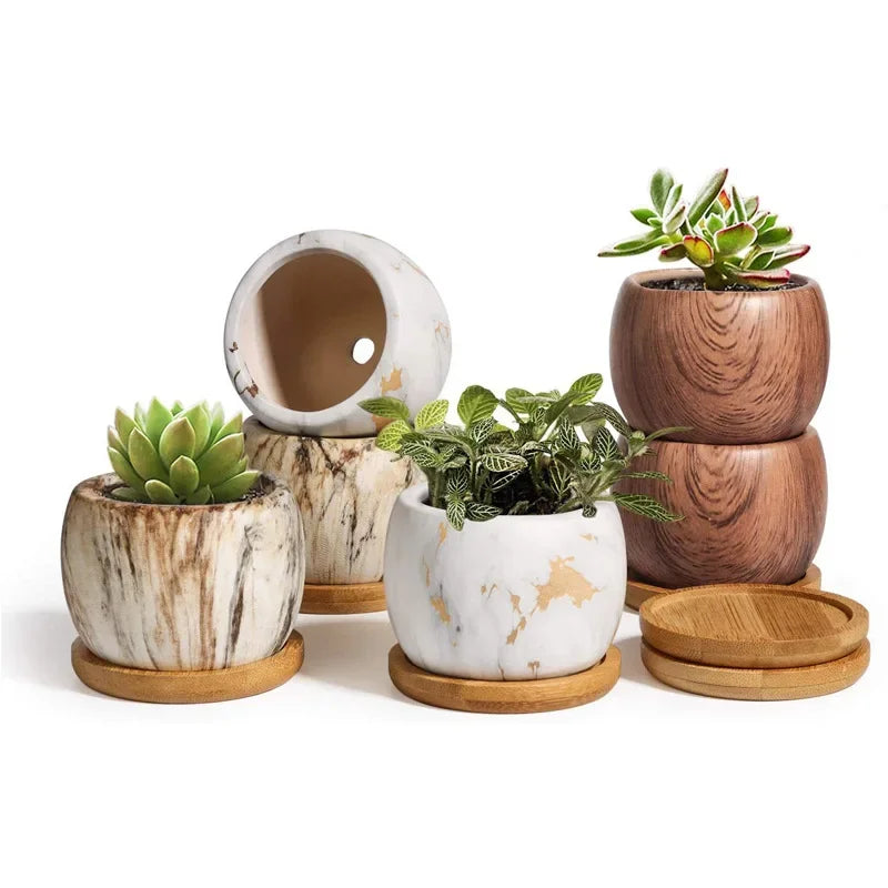 Afralia™ Ceramic Succulent Flower Pots - Nordic Gardening Art Vase for Home Office Decor