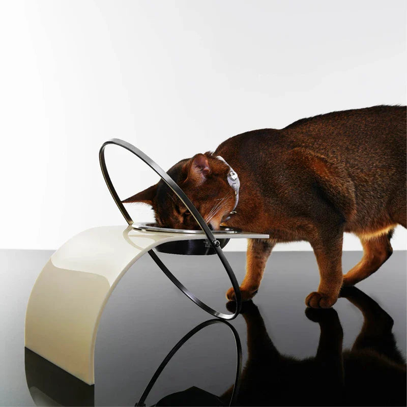Afralia™ Stainless Steel Pet Bowl - Modern Minimalist Orbital Planet Design