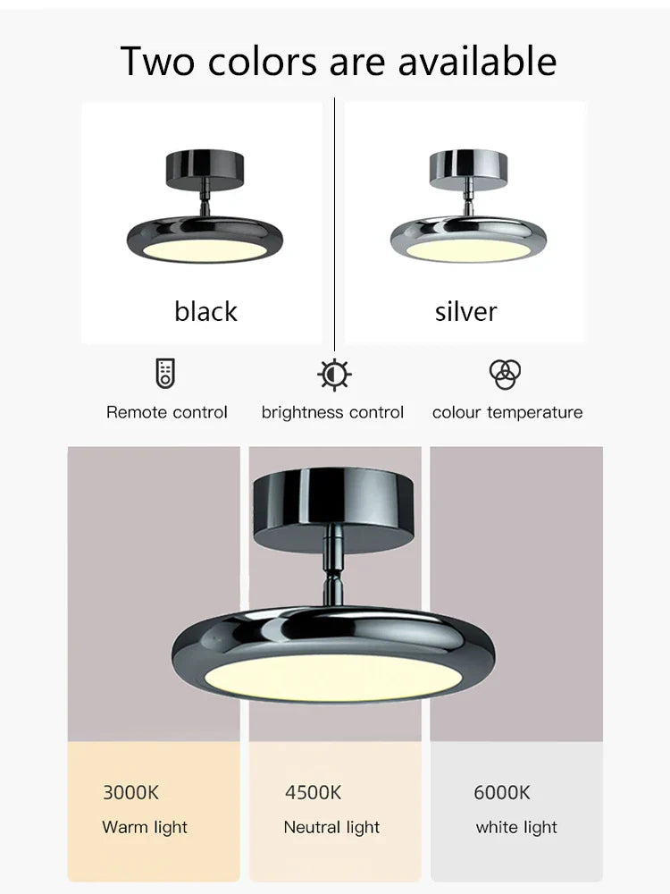 Afralia™ Modern LED Ceiling Lamp for Aisle Corridor Living Room Chandelier, Neutral Light Silver Black