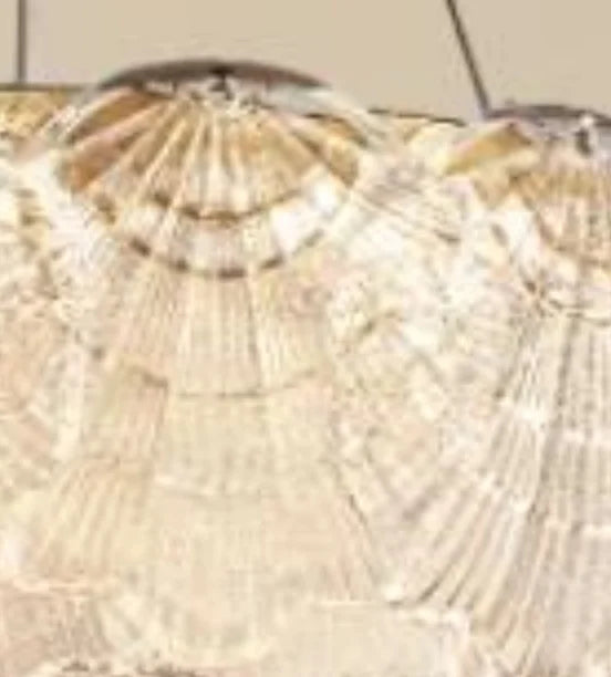 Afralia™ Shell Chandelier Ceiling Lights Crystal Cover Pendant Lamp for Home Decor