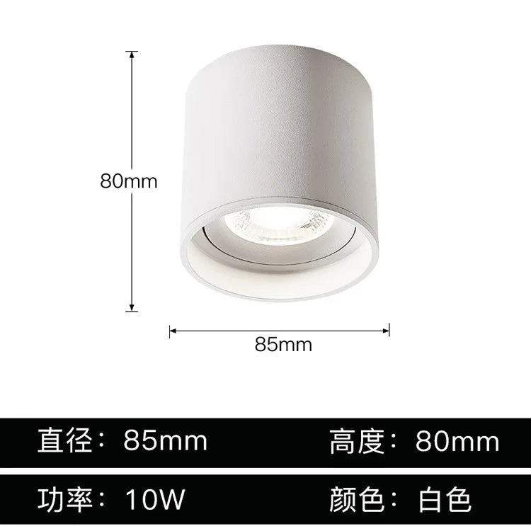 Afralia™ Aluminum Ceiling Lamp: Cylindrical Surface Mounted Downlight with Adjustable Beam Angle