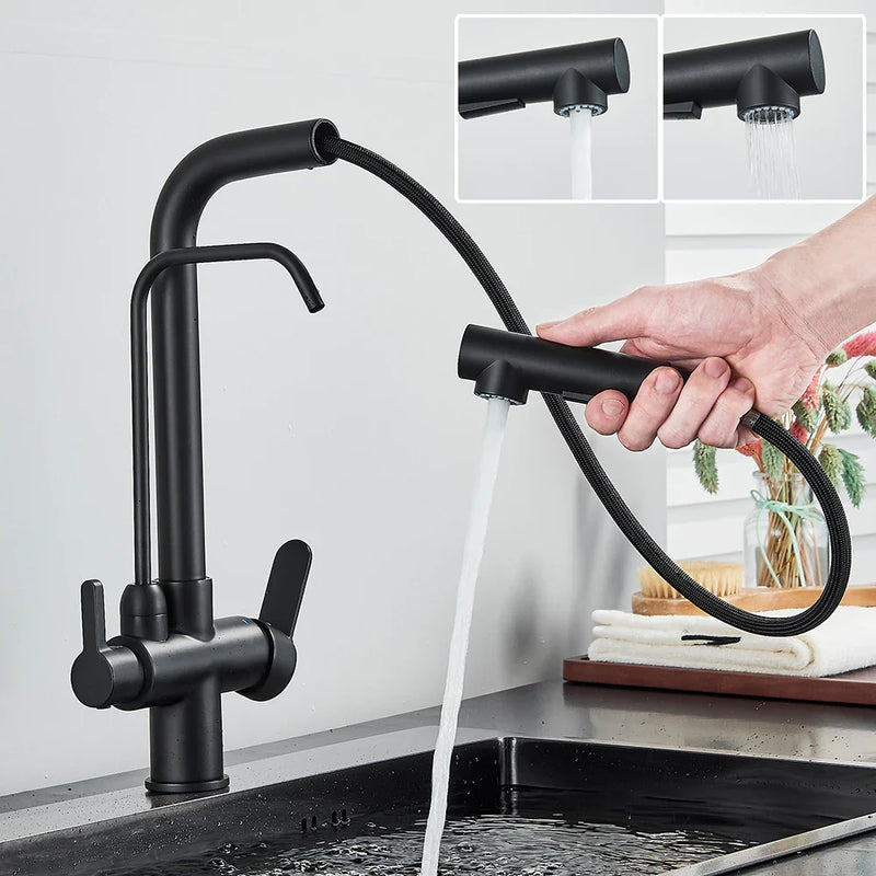 Afralia™ Black 2-in-1 Purification Kitchen Faucet with Flexible Pull Out Nozzle