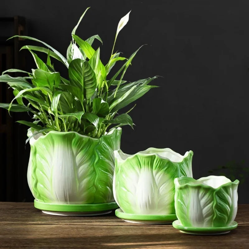 Afralia™ Cabbage Flowerpot with Tray | Creative Cartoon Vegetable Basin | Indoor Garden Flower Vase