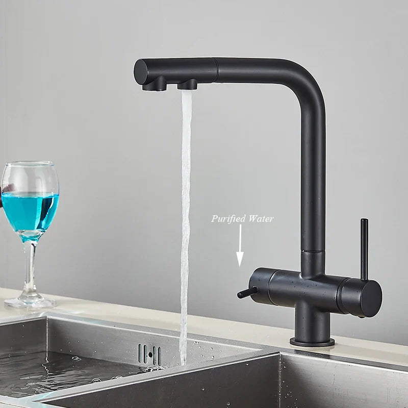 Afralia™ Kitchen Faucet with Water Filter Tap and Dual Sprayer