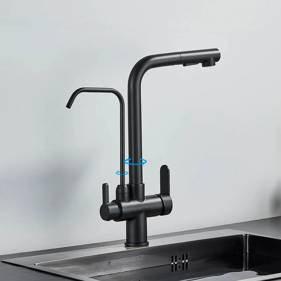 Afralia™ Dual Handle Waterfilter Kitchen Faucet for Rotation Water Purification.