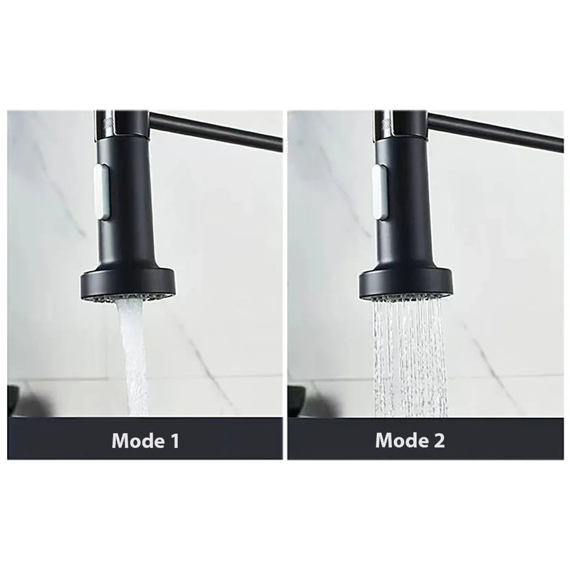 Afralia™ Matte Black Kitchen Faucet with Dual Modes Nozzle and Brass Spring