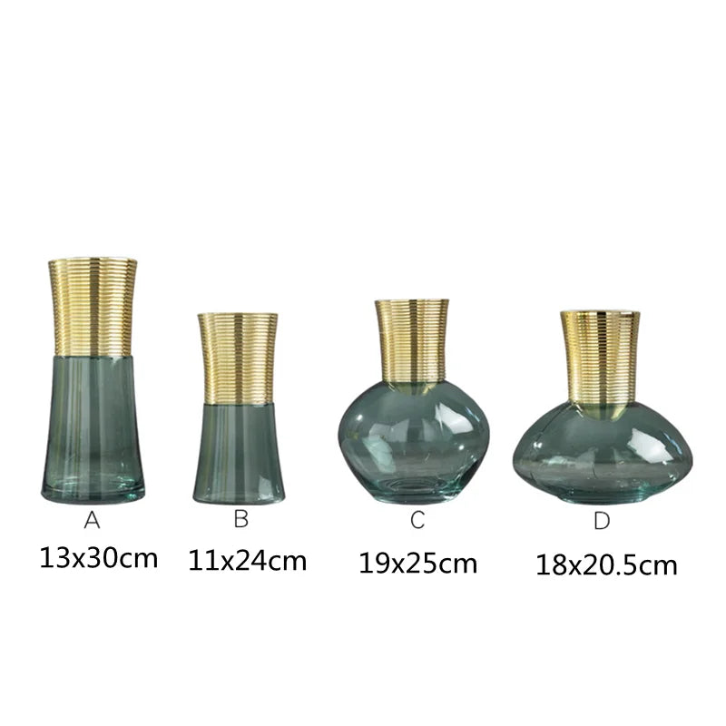 Afralia™ Gold Metal Glass Vase: Round Transparent Terrarium for Home Decor & Flower Arrangement