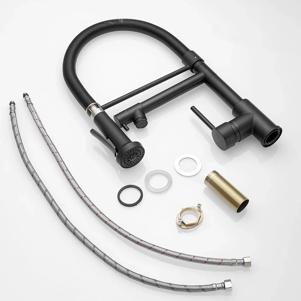 Afralia™ Black Spring Kitchen Faucet with Sprayer and Brushed Nickel Finish