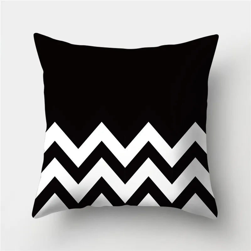 44232446869667