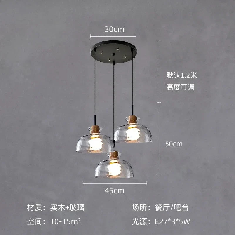 Afralia™ Clear Glass Pendant Lamp with LED Lights for Home Decor